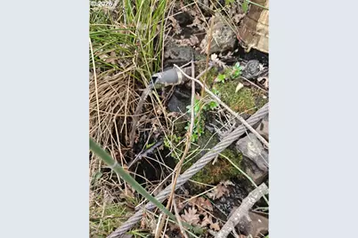 Wahkiacus Heights Rd #LOT 1, Klickitat, WA 98628 - Photo 1