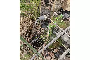 Wahkiacus Heights Rd, Klickitat, WA 98628 - Photo 1