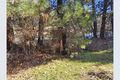 Wahkiacus Heights Rd #LOT 1, Klickitat, WA 98628 - Photo 15