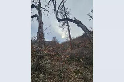 Wahkiacus Heights Rd #LOT 1, Klickitat, WA 98628 - Photo 21