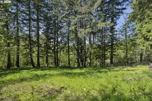 38041 SE Rickert Rd, Corbett, OR 97019 - Photo 37