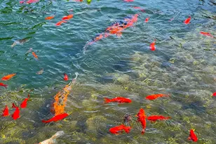 98126 W Benham Ln, Brookings, OR 97415 - Photo 35