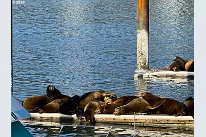 98126 W Benham Ln #9, Brookings, OR 97415 - Photo 47