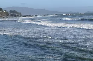 98126 W Benham Ln, Brookings, OR 97415 - Photo 43