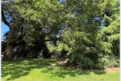 17236 NW Lucy Reeder Rd, Portland, OR 97231 - Photo 35