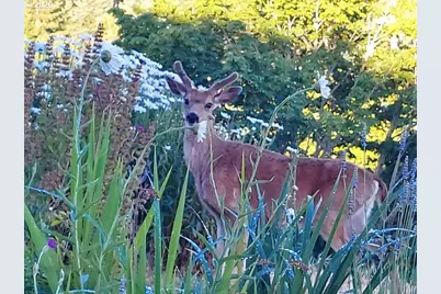 90834 Coburghills Dr, Eugene, OR 97408 - Photo 35