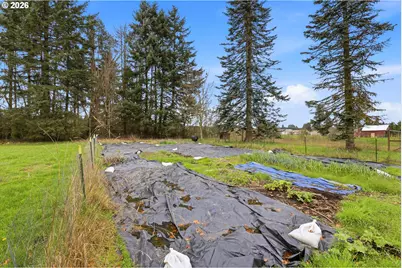 56341 Hazen Rd, Warren, OR 97053 - Photo 41