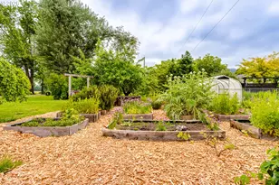 81887 Davisson Rd, Creswell, OR 97426 - Photo 5