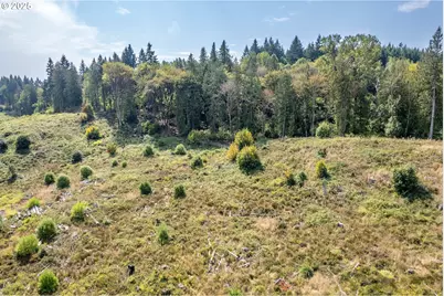 Newaukum Valley Rd, Chehalis, WA 98532 - Photo 7
