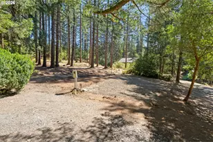 24520 Trillium Ln, Elmira, OR 97437 - Photo 43