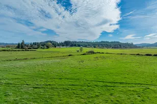 53874 Fishtrap Rd, Myrtle Point, OR 97458 - Photo 41