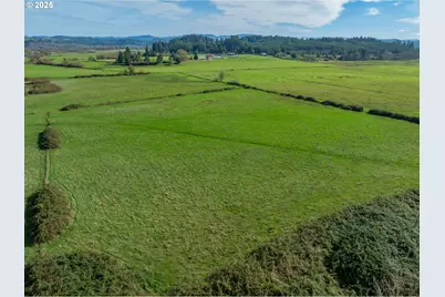 53874 Fishtrap Rd, Myrtle Point, OR 97458 - Photo 5