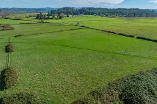 53874 Fishtrap Rd, Myrtle Point, OR 97458 - Photo 5