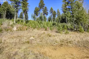 29110 NE Hancock Rd, Camas, WA 98607 - Photo 39