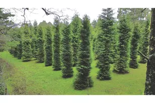 86764 Sydnam Ln, Bandon, OR 97411 - Photo 43