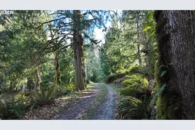 26022 S Elwood Rd, Colton, OR 97017 - Photo 47