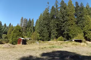 1144 Starveout Creek Rd, Azalea, OR 97410 - Photo 15