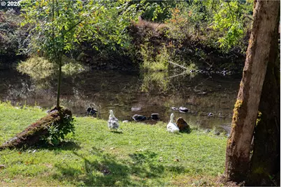 39582 Little Fall Creek Rd, Fall Creek, OR 97438 - Photo 41