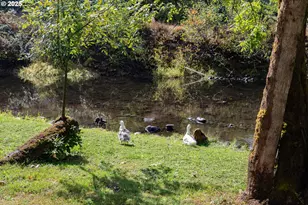 39582 Little Fall Creek Rd, Fall Creek, OR 97438 - Photo 41