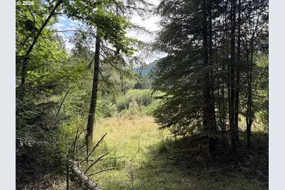 9006 Scotts Valley Rd, Yoncalla, OR 97499 - Photo 39