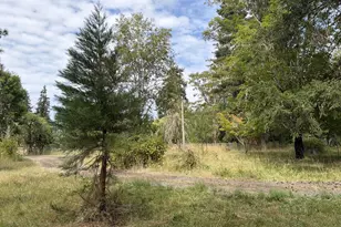 9006 Scotts Valley Rd, Yoncalla, OR 97499 - Photo 37
