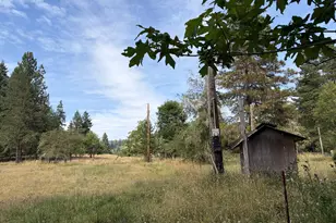 9006 Scotts Valley Rd, Yoncalla, OR 97499 - Photo 41
