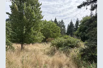 9006 Scotts Valley Rd, Yoncalla, OR 97499 - Photo 29