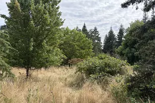 9006 Scotts Valley Rd, Yoncalla, OR 97499 - Photo 29