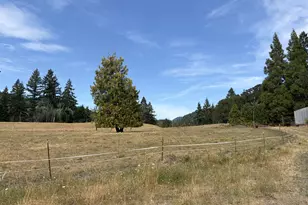 9006 Scotts Valley Rd, Yoncalla, OR 97499 - Photo 31