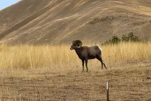 34559 Snake River Rd, Huntington, OR 97907 - Photo 15