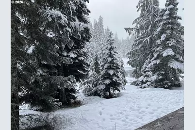 31250 E Collins Lake Rd #6, Government Camp, OR 97028 - Photo 7