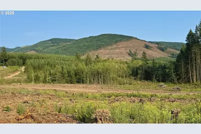 3725 Little Kalama River Rd, Woodland, WA 98674 - Photo 5