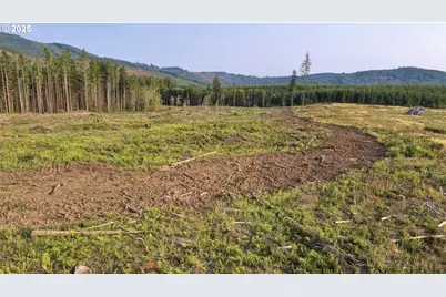 3725 Little Kalama River Rd, Woodland, WA 98674 - Photo 31