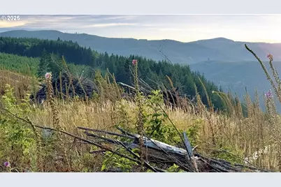 3725 Little Kalama River Rd, Woodland, WA 98674 - Photo 7