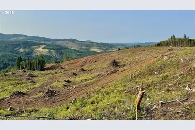 3725 Little Kalama River Rd, Woodland, WA 98674 - Photo 35