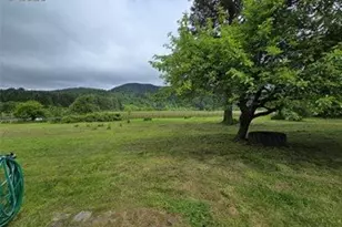 29 Sickman-Ford Rd, Oakville, WA 98568 - Photo 5