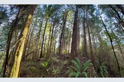 60958 Old Wagon Rd, Coos Bay, OR 97420 - Photo 43