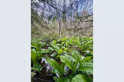 60958 Old Wagon Rd, Coos Bay, OR 97420 - Photo 37