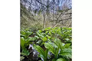 60958 Old Wagon Rd, Coos Bay, OR 97420 - Photo 37