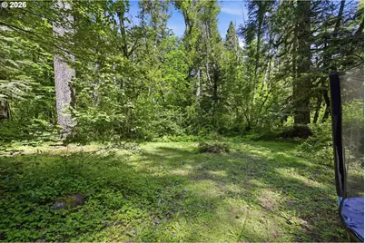 55406 Delta Rd, Blue River, OR 97413 - Photo 31