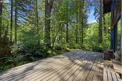 55406 Delta Rd, Blue River, OR 97413 - Photo 5