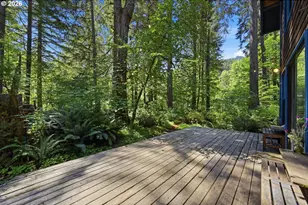 55406 Delta Rd, Blue River, OR 97413 - Photo 5