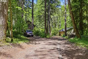 55406 Delta Rd, Blue River, OR 97413 - Photo 47