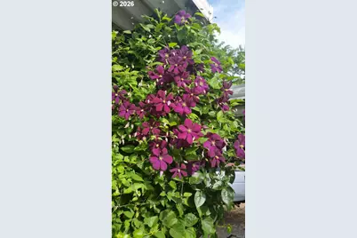 3564 E 2nd St #29, The Dalles, OR 97058 - Photo 15