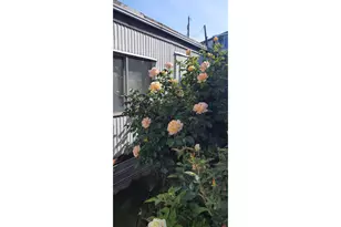 3564 E 2nd St, The Dalles, OR 97058 - Photo 19