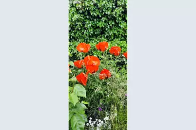 3564 E 2nd St #29, The Dalles, OR 97058 - Photo 21