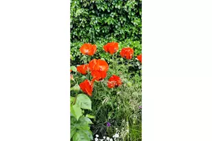 3564 E 2nd St, The Dalles, OR 97058 - Photo 21