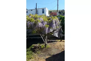 3564 E 2nd St, The Dalles, OR 97058 - Photo 17