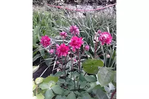 3564 E 2nd St, The Dalles, OR 97058 - Photo 13