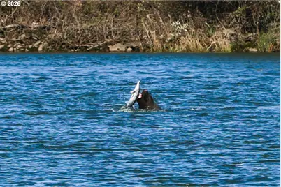 50350 Cowens Rd #39, Scappoose, OR 97056 - Photo 35